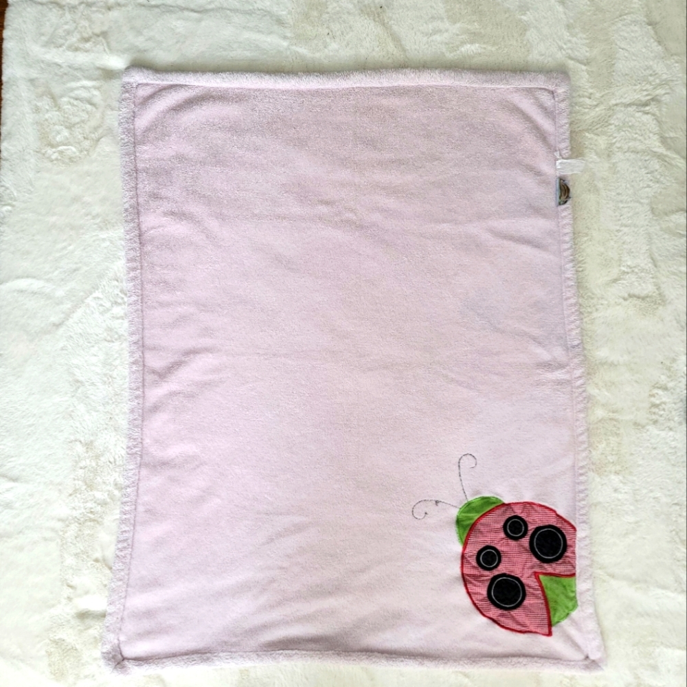 Baby Ladybug Blanket